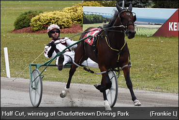 Island Breeders Set For Sunday