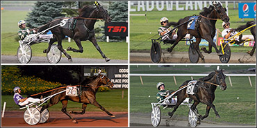 Hambo Hopefuls Headline Zweig