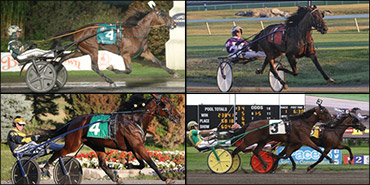 Hambletonian Oaks Elims Set