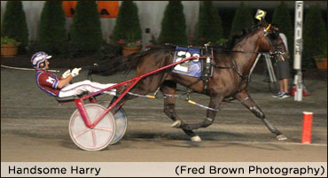 'Handsome' Colt Headlines Night Of Champions