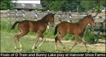 A Matchup That Will Never Happen