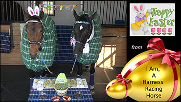 Easter Greetings From Doc Team