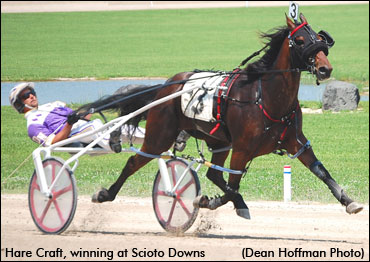 Heimbecker High On Hare Craft