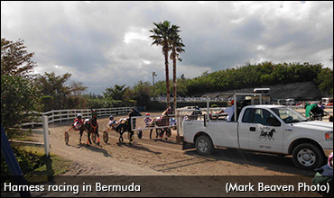 Canadians Help Bermudian Horsemen