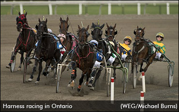 Standardbred Improvement Program Approved