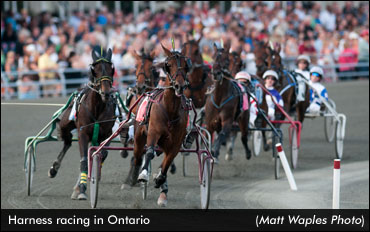 ORC: $30 Million For Ontario's Horse Improvement Program