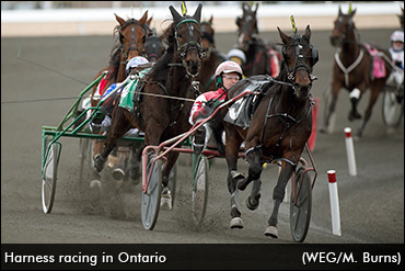 Long-Term Funding For Ontario?