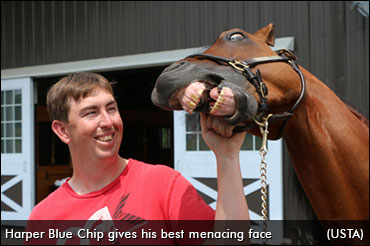 Harper Blue Chip Back In Ontario