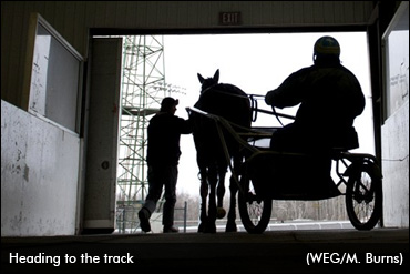 A Few Days To Reflect