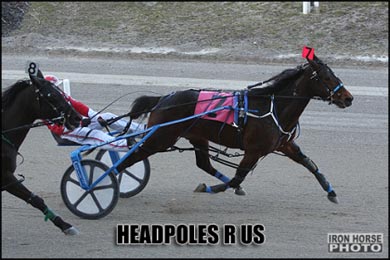 Six Straight For Headpoles R Us