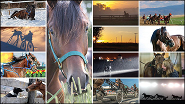 2016 Calendar Now Available