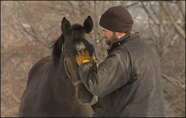 Heartbeat Of Ontario Horse Racing