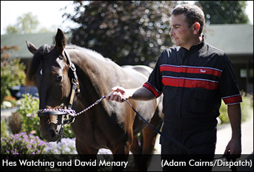 Where Is Hes Watching?