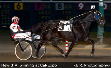 Pacer Captures Hearts Of New Owners