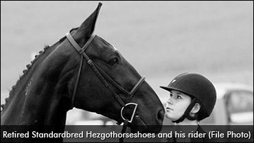 Rehoming, Retraining Retired Horses