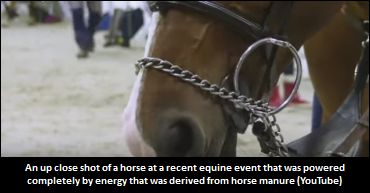 Horse Manure Powers Equine Event