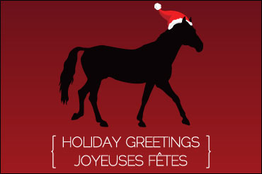Happy Holidays From Trot