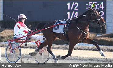 Baillargeons Own WEG's Podium