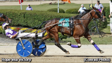 World Mark For Hope Ima Victory World Mark For Hope Ima Victory