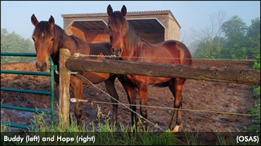 We All Need A Little Hope