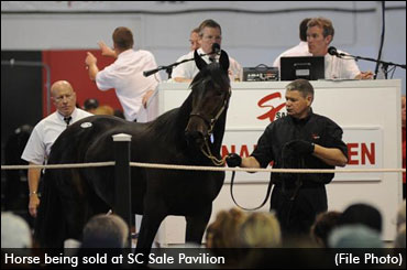 Spring Fling Catalogue Extended