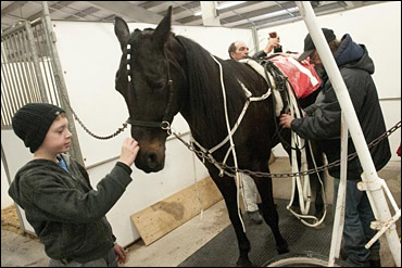 More MPPs Fighting For Racing