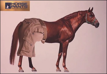 The Future Of Equine Fashion?