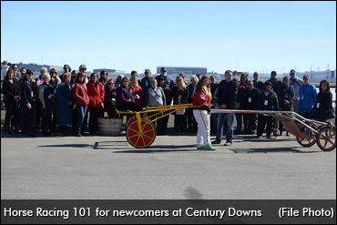 Horse Racing 101 At Century