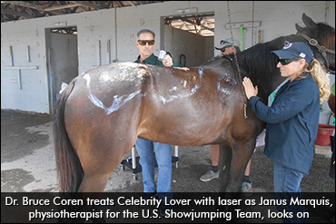 Free Therapy For Burned Horses