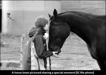 Horses In Tune With Emotions