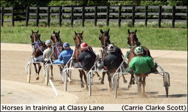 Canada's Two-Year-Olds In Training