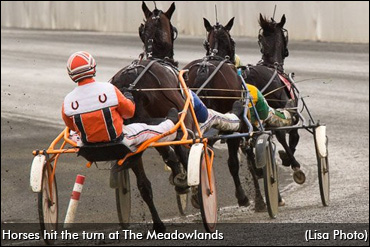 Impressive Two-Year-Old Sold