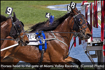 Marvelous Mares To Miami Valley