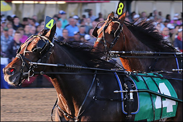 Tighter Rules On Drug Compounds