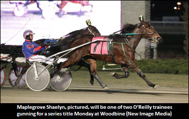 O'Reilly On His Lifetime Dream Charges