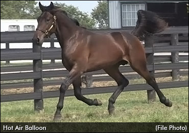 Hot Air Balloon Tops Third Harrisburg Session