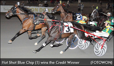 Hot Shot Blue Chip Returns