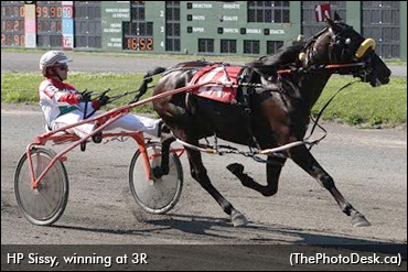 Stakes Record For HP Sissy