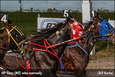 HP Sissy A Narrow Buffalo Winner