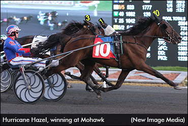 Hurricane Hazel Tops Fall Sale