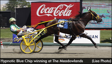 Hypnotic Blue Chip To Stand In PA