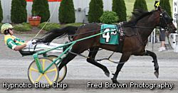 Record For Hypnotic Blue Chip In EBC