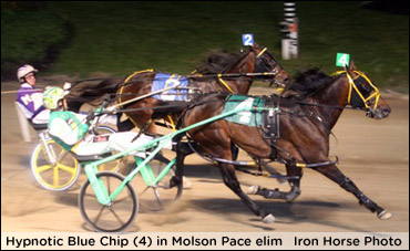 Under The Spell Of Hypnotic Blue Chip