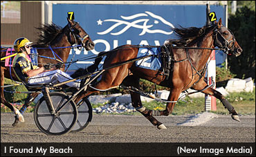 McIntosh, Pacing Colt Recovering