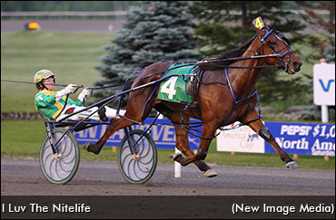 ‎I Luv The Nitelife Passes