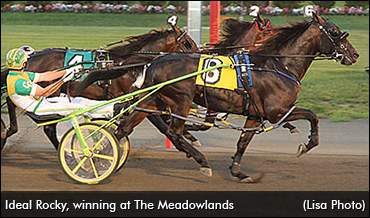 Ideal Rocky Seeks Metro Knockout
