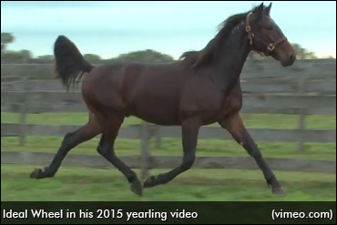 Two Days, 22 Baby Races
