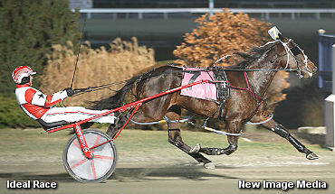 Willowdale Series Prelims Completed