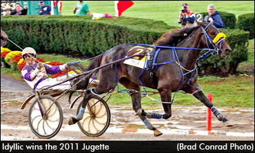 Idyllic Captures Jugette