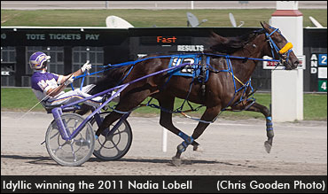 Idyllic Defeats See You At Peelers